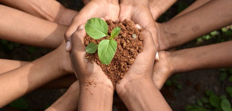 Dia Mundial do Meio Ambiente
